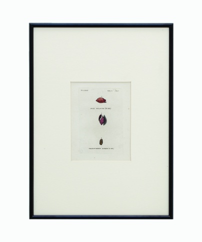 SHELL_04